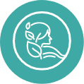 Cosmétiques naturels